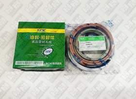 Ремкомплект для гусеничный экскаватор KOMATSU PC300-8 (707-99-58030, 707-99-58030, 707-99-58080, 707-99-58080, 707-99-58080, 707-99-58080)